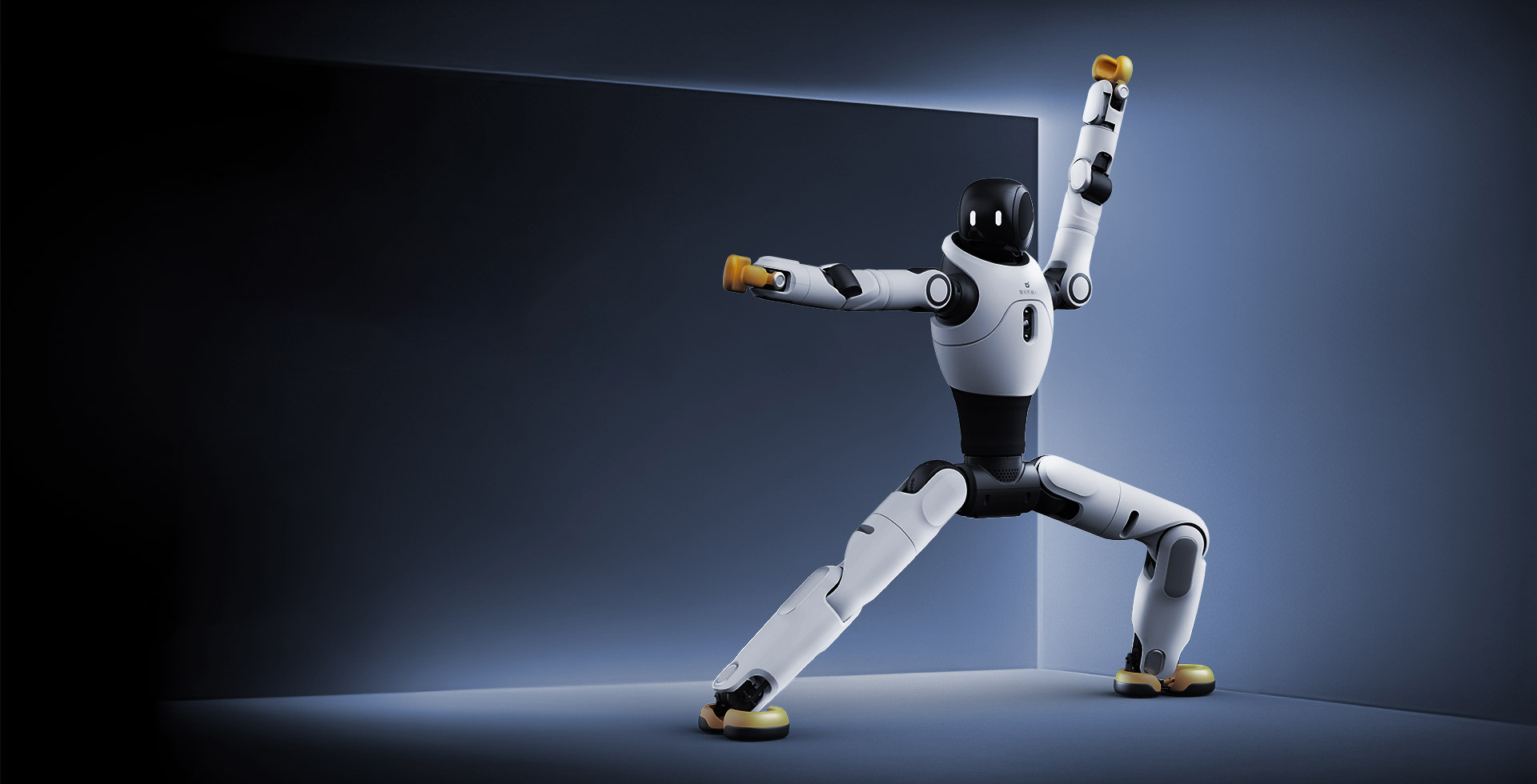 完美·(中国)体育灵犀 X2