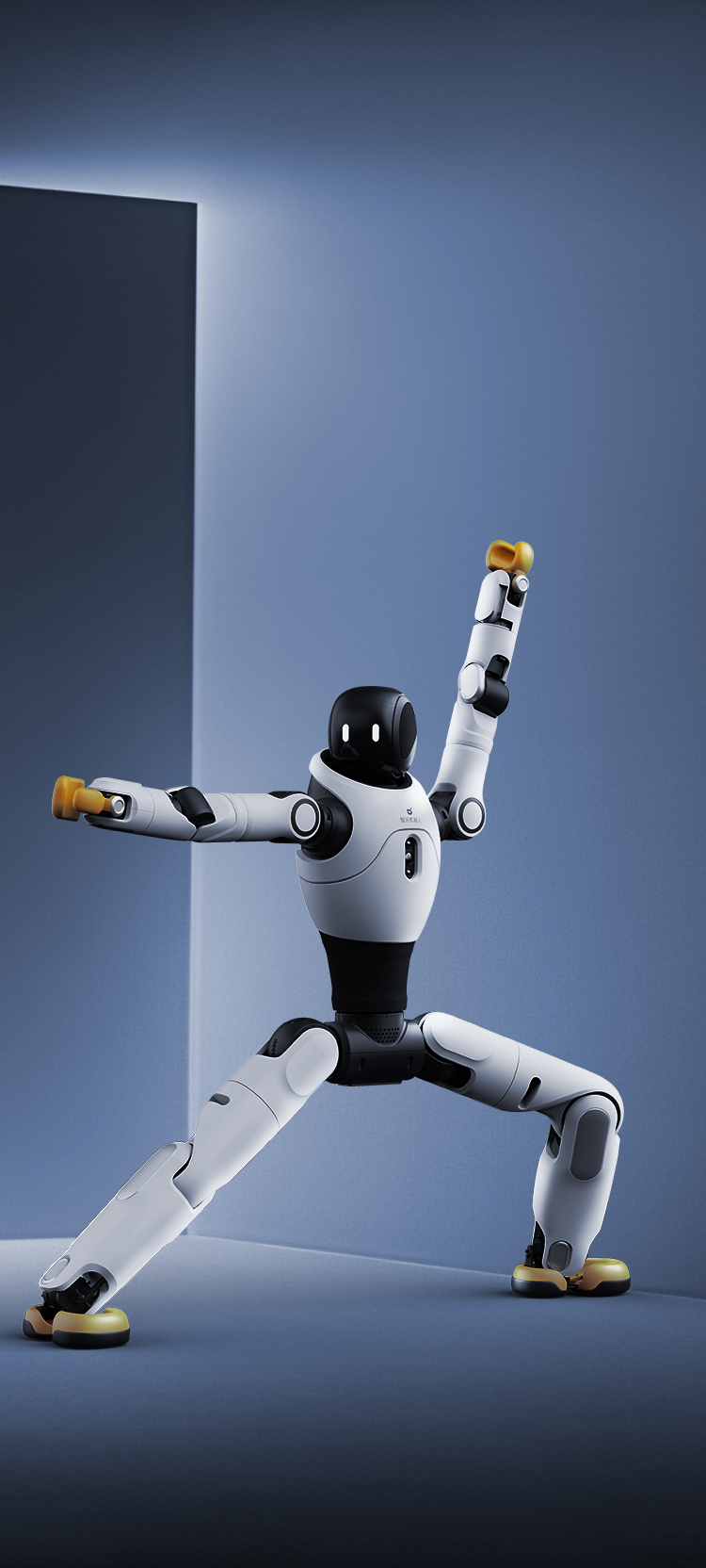 完美·(中国)体育灵犀 X2